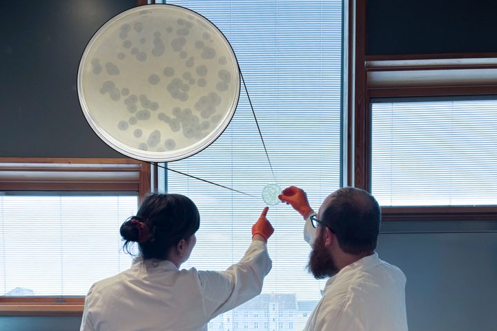 Kernen i EntroGuard er en ny biologisk metode baseret på bakteriofager – naturligt forekommende virus, der udelukkende angriber bakterier.