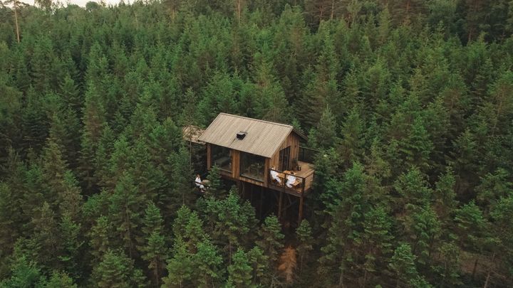 Hyssna Forest Resort er et hotell med usædvanlig overnatning. billedet viser en hytte i trætoppene.