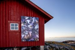Fotokunst til udstillingen Muses of Avatar af Christy Lee Rogers på øen Pater Noster