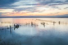 Vandområdet Albufera er en vigtig forudsætning for Valencias risproduktion.