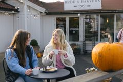 En efterårsdag med traditionel svensk fika på Øland.