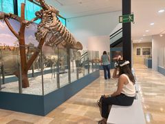 VR på Valencias palæontologiske museum