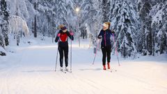 Veninder på langrend