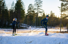 To langrendsløbere i skoven.