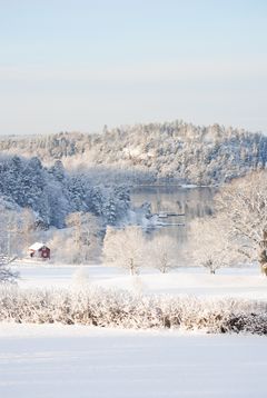 Anfasteröd Gårdsviks smukke vinterlandskab