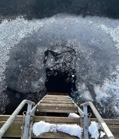 Bryd isen hos Swedish Country Living.