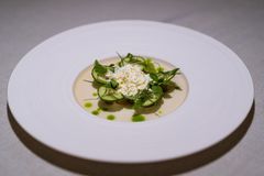 Kulinariske oplevelser på restauranten Signum