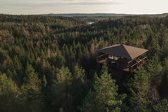 Træer så langt øjet rækker, Rangers Cabin.