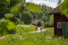 Ljungleden i Vestsverige gennem et grønt landskab.