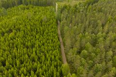 Ljungleden gennem på grusvej gennem skoven.