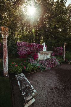 Blomstrende buske ved Sollidens Slott