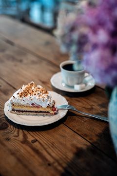 Svensk fika på Kaffetorpet, Sollidens Slott
