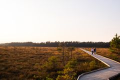 Vandring ved Store Mosse i solen