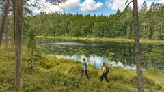Vandretur i Norra Kvills Nationalpark