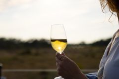 Vin i solen på restauranten Lammet & Grisen