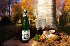 Småland og Øland tilbyder flere spændende drikkeoplevelser - blandt andet birkebobler (mousserende birkesaft) fra Ängabacken.
