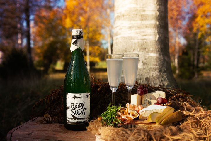 Småland og Øland tilbyder flere spændende drikkeoplevelser - blandt andet birkebobler (mousserende birkesaft) fra Ängabacken.