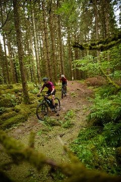 Ved Billingen i Vestsverige kan et efterårsophold indeholde både vandring og mountainbike i naturområdet omkring bjerget og efterfølgende spa og overnatning på Billingehus.
