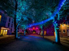 Fra 2. oktober til 1. november er Alingsås igen vært for Lights in Alingsås, hvor lysinstallationer forvandler byen efter mørkets frembrud.