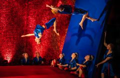 Flying Superkids er tidligere blevet omtalt som en blanding af cirkusartist-showet Cirque de Soleil og High School Musical.