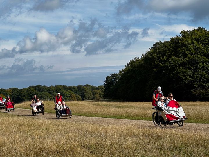 Rickshaw-cykler på tur gennem Dyrehaven