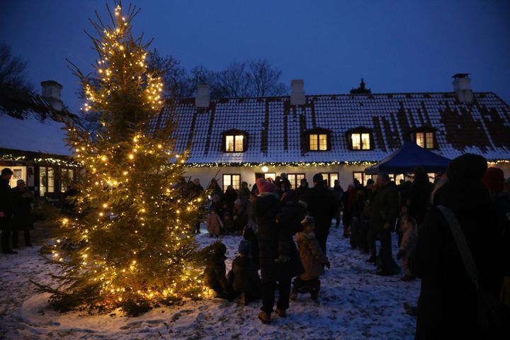 Juletræ på Mothsgårdens gårdsplads.