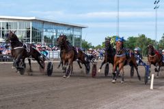 Der bliver fart på fra start, når nogle af Nordens hurtigste heste er med i det første V85-løb nogensinde. Foto: Kanal75/Mikael Rosenquist/TR Bild
