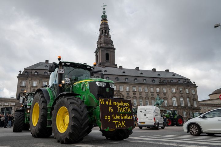 Skyldes høj kvælstofudvaskning fra fem danske naturskove og gamle bevoksninger husdyrbrug i nærheden? Nye beregninger sår tvivl om professorens forklaring.