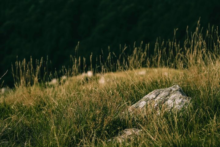 Nu kan store mark- og natursten få et nyt og gavnligt formål som en del af stenrev i Odense Fjord.