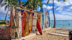 Surf boards på Waikiki beach Hawaii. Foto: NCL