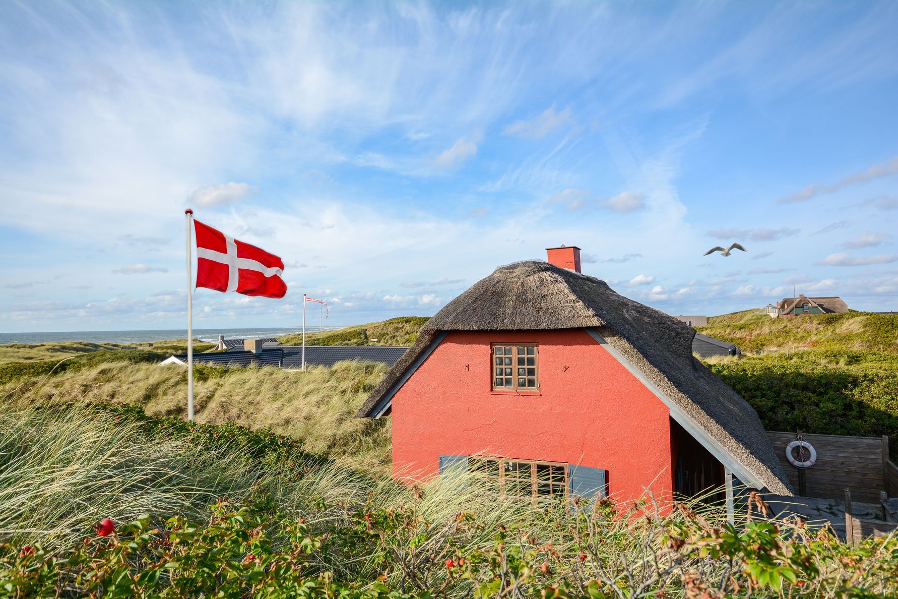 Grønne tage vinder frem i sommerlandet
