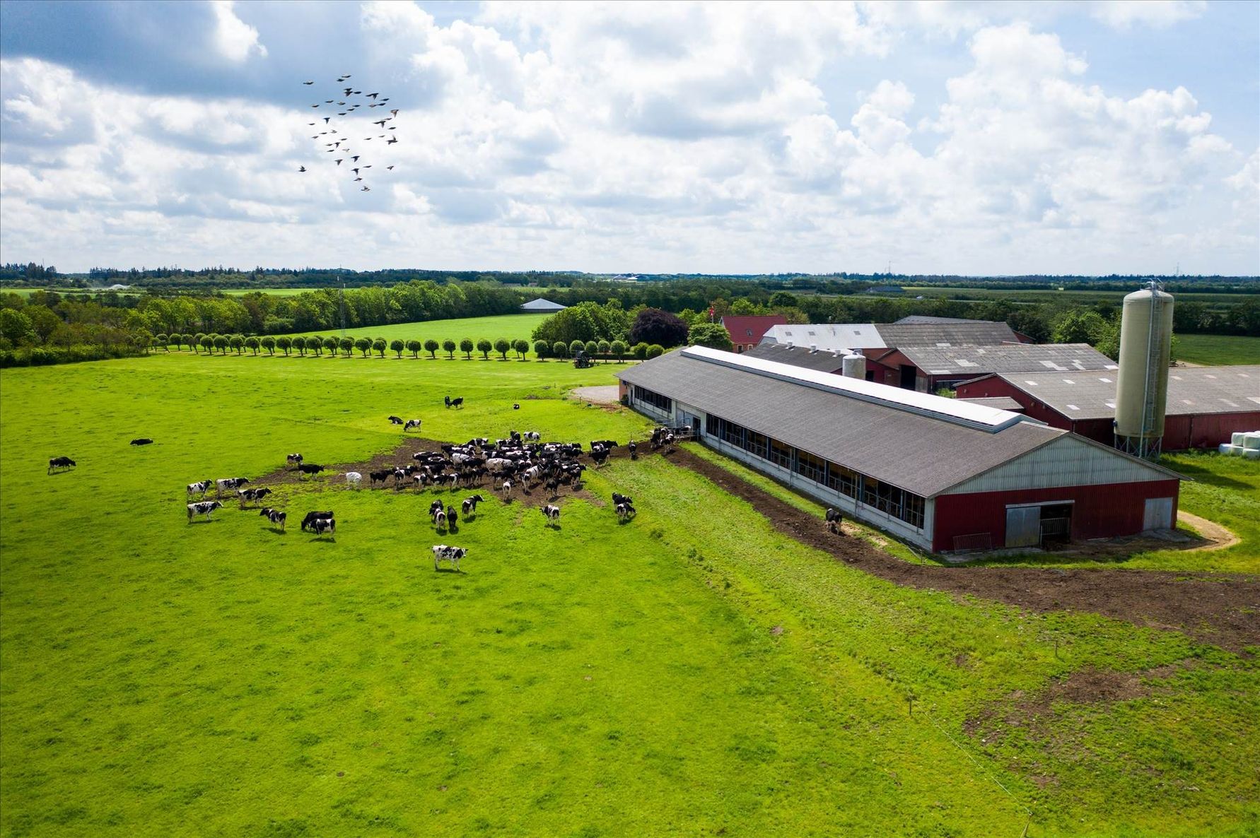 Da Lone og Erik Andersen satte deres kvæggård til salg, fravalgte de det højeste bud. I stedet solgte de til deres unge medarbejder – for at sikre, at både gården og avlsarbejdet kunne føres videre.
