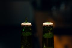 Skål! Verdens mindste øl måler 12 og 4 mm. Nu kan de begge opleves i udstillingen hos Home of Carlsberg på Valby Bakke.