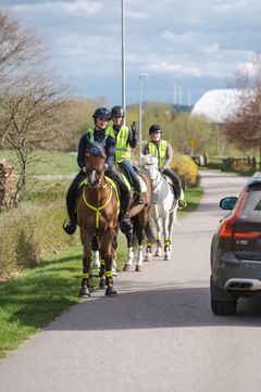 86 procent af danske ryttere bevæger sig af og til ud på befærdede veje på hesteryg, men hver tredje føler sig kun sjældent eller aldrig tryg i trafikken.
