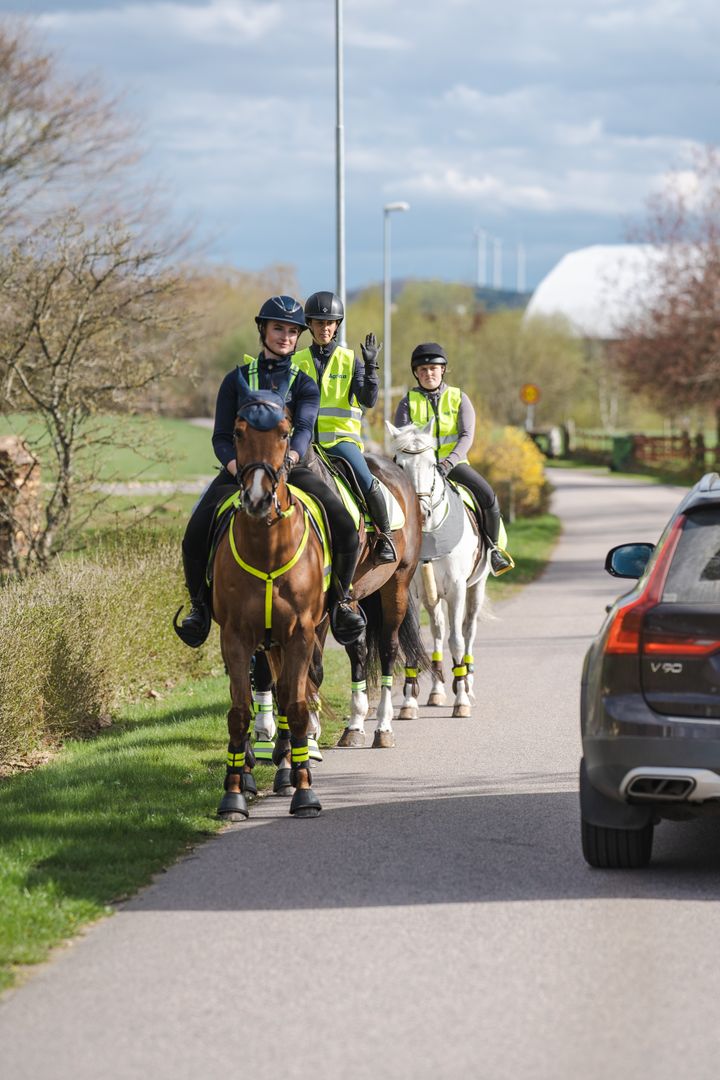 86 procent af danske ryttere bevæger sig af og til ud på befærdede veje på hesteryg, men hver tredje føler sig kun sjældent eller aldrig tryg i trafikken.