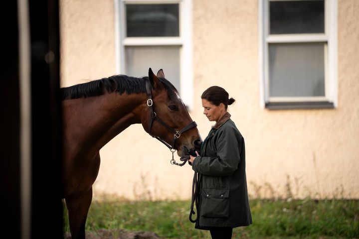 Fem projekter, der forsker i heste, har modtaget støtte fra Agrias Forskningsfond, som siden 1938 har støttet forskningen indenfor dyrevelfærd: Hvert år bidrager fonden med støtte, til projekter der fremmer sundheden og trivslen hos vores dyr.