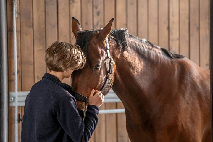 Reduceret vandindtag er en væsentlig årsag til kolik, advarer Agrias hestedyrlæge, Jon Vedding, der derfor opfordrer hesteejere til at tilbyde hesten vand fra et isoleret eller opvarmet vandkar på folden. Dyrlægen anbefaler desuden at benytte en vandspand i stalden for at kunne holde øje med, hvor meget den enkelte hest indtager.