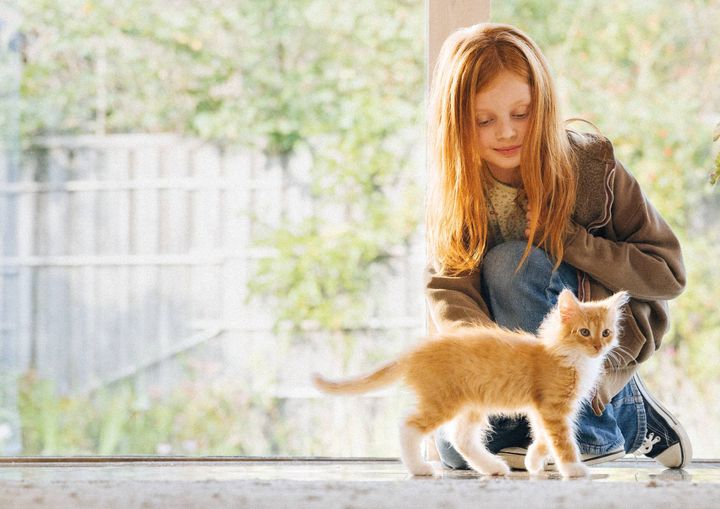 Agria Dyreforsikring har netop afsløret, hvilke kattenavne der er de mest populære blandt danske katteejere.