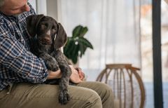 Hunderacer eller raceblandinger, der sjældent besøger dyrlægen, har ofte en lavere forsikringspræmie. Det betyder, at der kan være tusindvis af forsikringskroner til forskel om året imellem de hunde, der ofte besøger dyrlægen, sammenlignet med dem, der sjældent har brug for dyrlægebehandling, forklarer Lotte Evers, marketingchef hos Agria Dyreforsikring.