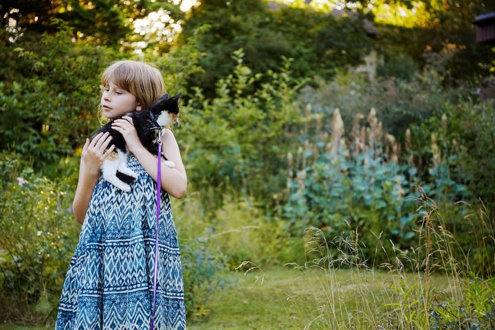 Katte elsker at udforske verden omkring dem og kan hurtigt komme på glatis - men der er også ting inde i dit hjem, som kan udgøre en risiko for kattens sikkerhed; fra giftige planter til skadelige kemikalier. Men der er et par forholdsregler, du som ansvarlig katteejer kan tage for at skabe et sikkert miljø for din kat.