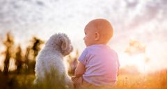 Familieforøgelse er en dejlig ting, men familiens hund forstår ikke nødvendigvis, hvad der foregår, og deler ikke altid fra første færd glæden med de nybagte forældre.