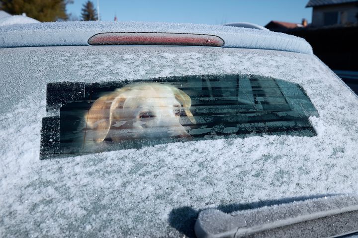 I en parkeret bil falder temperaturen hurtigt, når det er frostgrader - efterlad derfor aldrig din hund i længere tid i bilen.