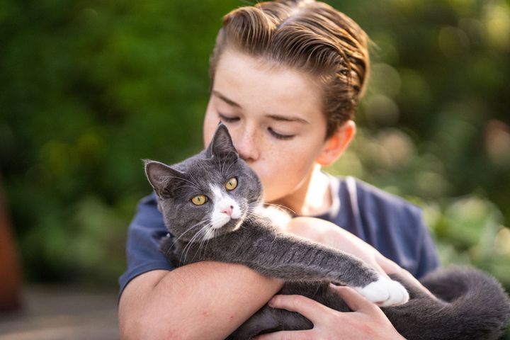 De mest populære kattenavne i 2025 var Luna og Simba.