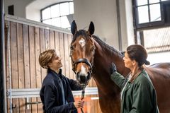 I marts lancerer Agria Hestens måned - en kampagne, der skal fremme hestens trivsel og sundhed, og med særligt fokus på, hvordan hesteejere undgår tre af de oftest forekommende men alvorlige problemstillinger hos heste: Mavesår, halthed og kolik.