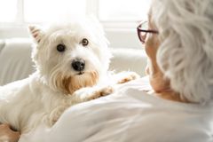 En hund kan bidrage med både motion, faste rutiner og fællesskab i hverdagen. Agria Dyreforsikring opfordrer samtidig kommende hundeejere til at tænke langsigtet, så både hund og ejer får de bedste rammer gennem hele hundens liv.