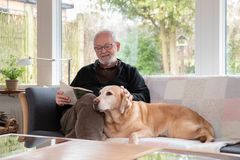 En hund kan bidrage med både motion, faste rutiner og fællesskab i hverdagen. Agria Dyreforsikring opfordrer samtidig kommende hundeejere til at tænke langsigtet, så både hund og ejer får de bedste rammer gennem hele hundens liv.
