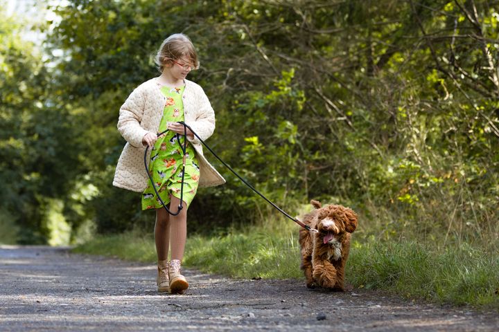 Børn og hunde kan få stor glæde af hinanden, når samværet foregår på hundens præmisser. Agria anbefaler, at hunden altid er de voksnes ansvar, mens børn gradvist inddrages i pasningen.