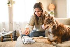 Flere danske kæledyrsejere bruger AI til at søge generel information om deres dyrs sundhed, men seks ud af ti er bekymrede for, at AI får en større rolle i veterinærplejen.