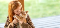 En kat kan blive kønsmoden, mens den stadig ligner en lille killing. Derfor er det en god idé at tale med dyrlægen om neutralisation i god tid, hvis katten ikke skal bruges i avl.