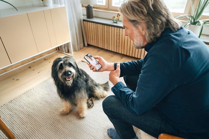 En digital konsultation med en dyrlæge kan være et godt første skridt, når kæledyrsejeren er i tvivl om, hvor akut dyrets symptomer er. Tal fra Agria Dyreforsikrings digitale dyrlægerådgivning viser, at 85 procent af henvendelserne kunne håndteres uden akut behandling samme dag.